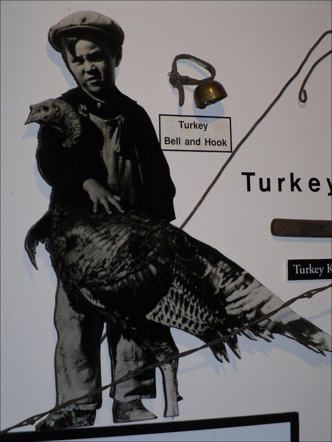 Fort Benton, MT Agriculture Museum-turkeys as crop insect control and Thanksgiving dinner